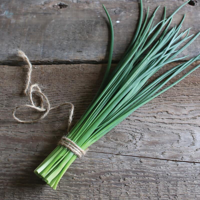 Onion Chives Kapoho Aquaponics Hawaii