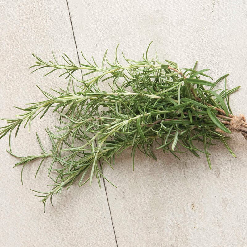 Rosemary Kapoho Aquaponics Hawaii